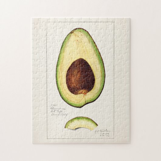 Avocado (Persea) Waterverf van fruit Painting Jigz Legpuzzel (Verticaal)