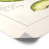 Avocado (Persea) — Waterverf van fruit Poster (Hoek)