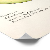 Avocado (Persea) Waterverf van fruit Schilting Pos Poster (Hoek)