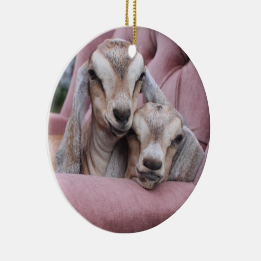 Avocado & Smooshie Holiday Ornament (Rechts)