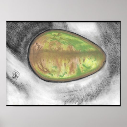 Avocado stilleven pastel poster (Voorkant)