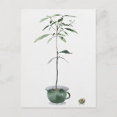 Avocado Tree Briefkaart (Voorkant)