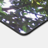 Avocado Tree Bureaumat (Hoek)