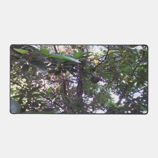 Avocado Tree Bureaumat (Voorkant)