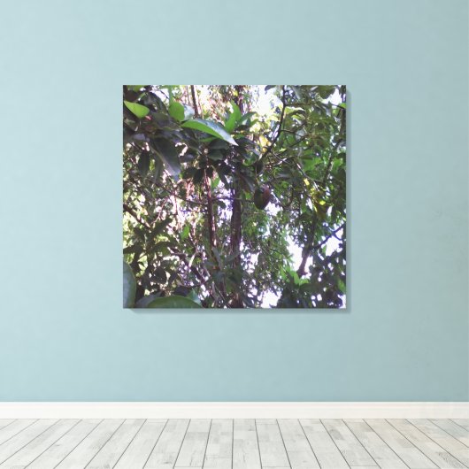 Avocado Tree Canvas Afdruk (Insitu (Houten vloer))