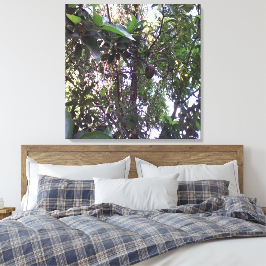 Avocado Tree Canvas Afdruk (Insitu (Slaapkamer))