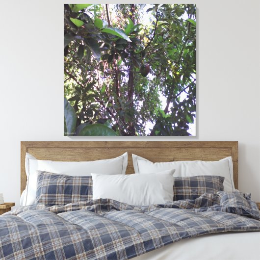 Avocado Tree - Donkergroene rand Canvas Afdruk (Insitu (Slaapkamer))