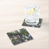 Avocado Tree Kartonnen Onderzetters (Insitu)