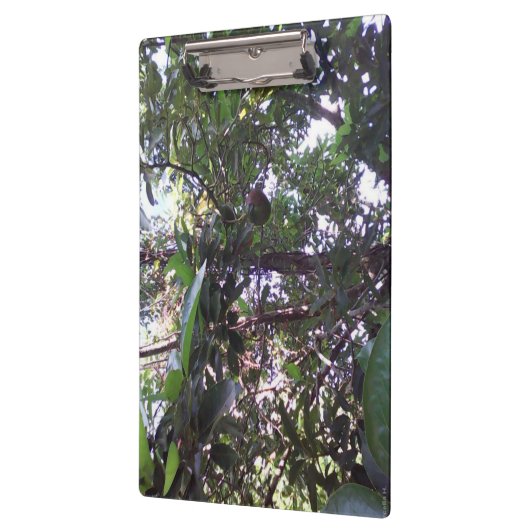 Avocado Tree Klembord (Links)