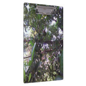 Avocado Tree Klembord (Rechts)