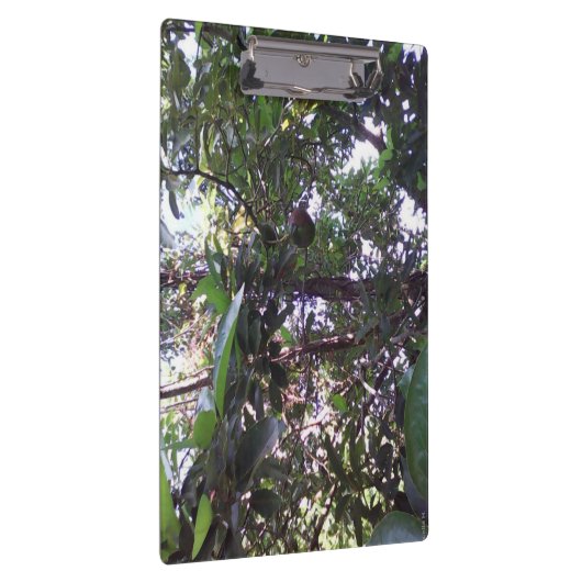 Avocado Tree Klembord (Rechts)