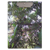 Avocado Tree Klembord (Voorkant)