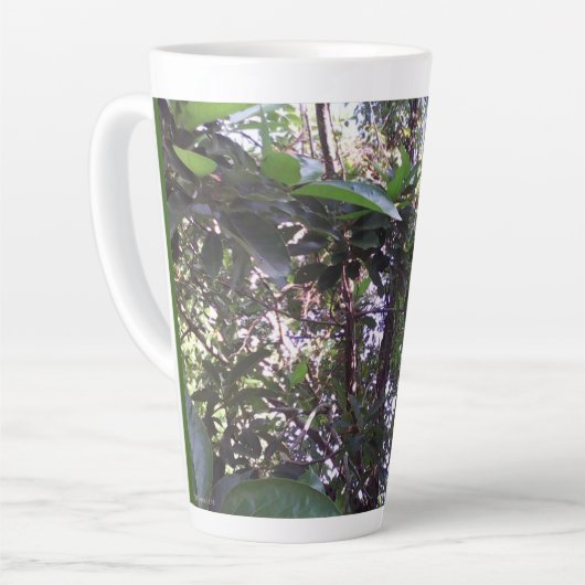 Avocado Tree Latte Mok (Linkerhoek)