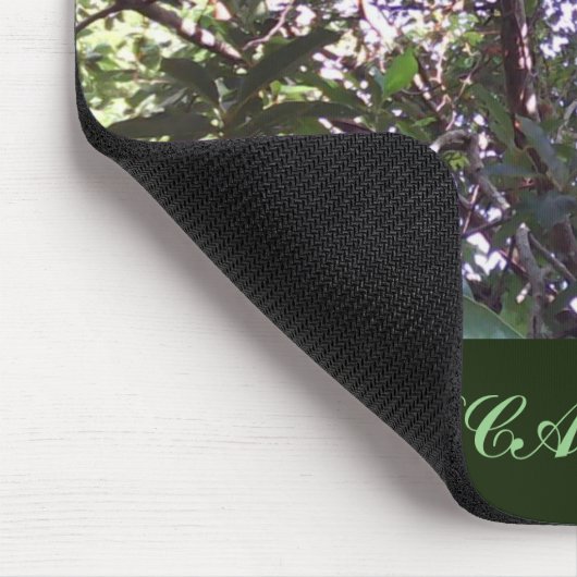 Avocado Tree Muismat (Hoek)