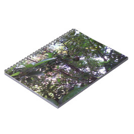 Avocado Tree Notitieboek