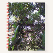 Avocado Tree Notitieboek (Voorkant)