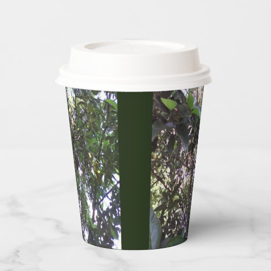 Avocado Tree Papieren Bekers (Links)