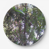 Avocado Tree Papieren Bordje (Voorkant)