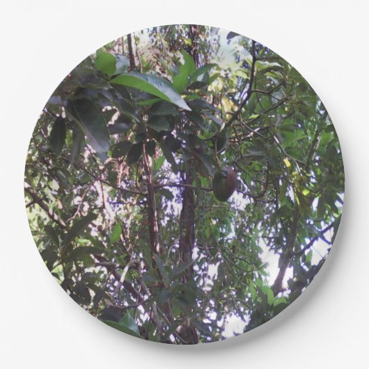 Avocado Tree Papieren Bordje (Voorkant)