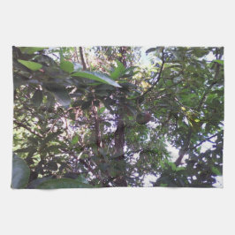 Avocado Tree Theedoek