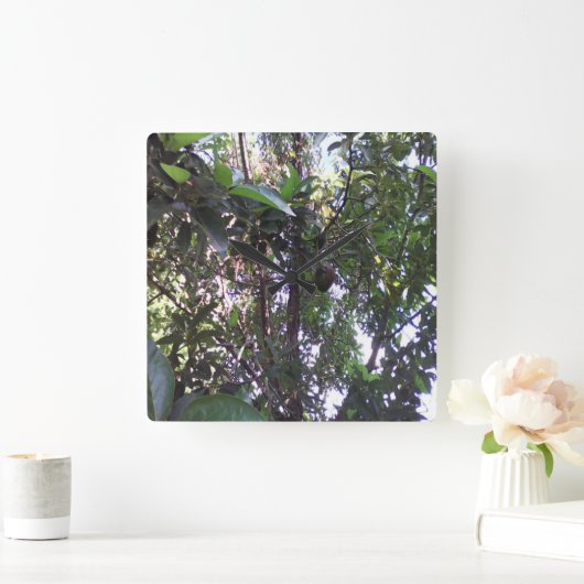 Avocado Tree Vierkante Klok (Huis)