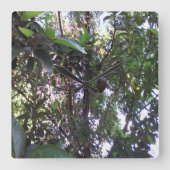 Avocado Tree Vierkante Klok (Voorkant)