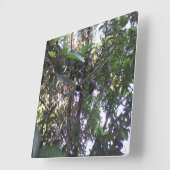 Avocado Tree Vierkante Klok (Hoek)