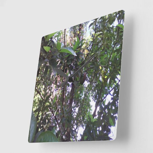Avocado Tree Vierkante Klok (Hoek)