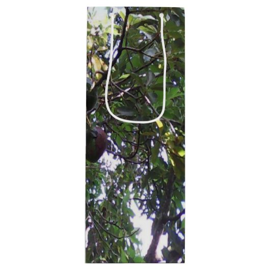 Avocado Tree Wijn Cadeautas (Voorkant)