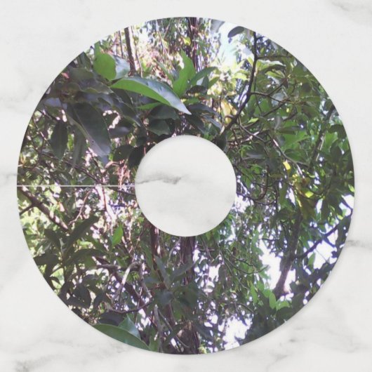 Avocado Tree Wijnglaslabel (Voorkant)