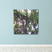 Avocadoboom Canvas Afdruk (Insitu (Houten vloer))