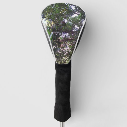 Avocadoboom Golfheadcover (Voorkant)