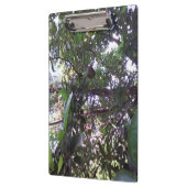 Avocadoboom Klembord (Links)