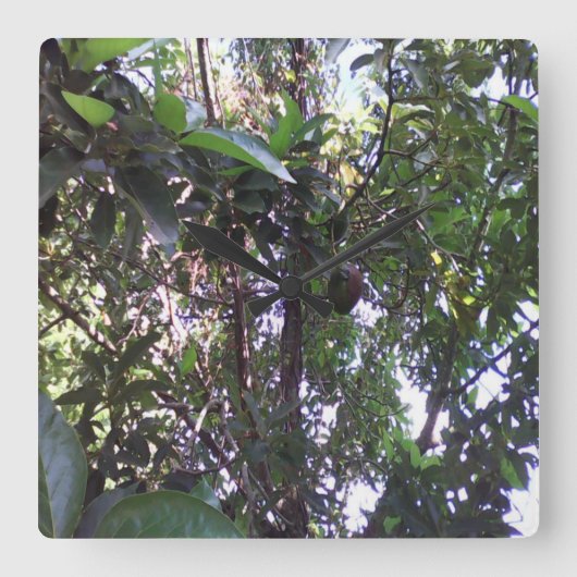 Avocadoboom Vierkante Klok (Voorkant)