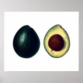 AVOCADOS botanische druk Poster (Voorkant)