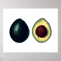 AVOCADOS botanische druk
