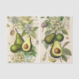Avocados Tissuepapier