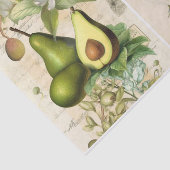 Avocados Tissuepapier (Detail)