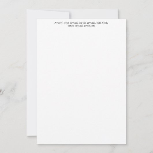 Avocet Greeting Card Kaart (Achterkant)