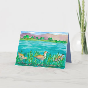 Avocet Lake Shore Birds Happy Birthday Kaart