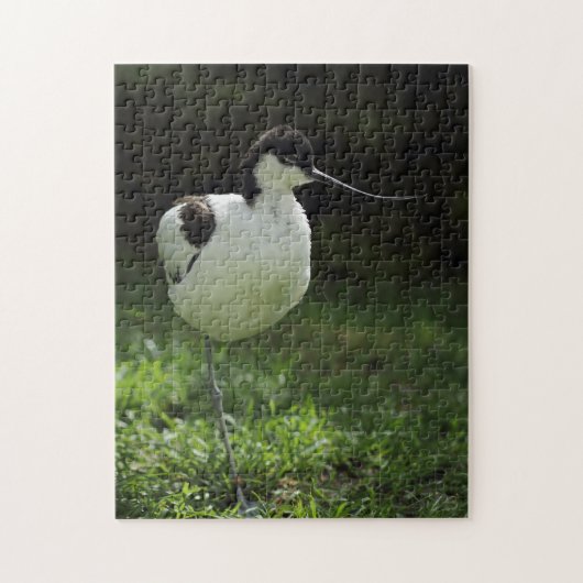 Avocet Legpuzzel (Verticaal)