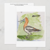 Avocet Wenskaart Kaart (Voorkant / Achterkant)