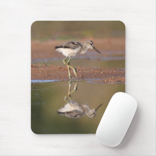 Avocetchick Muismat (Met muis)