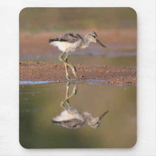 Avocetchick Muismat (Voorkant)