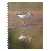 Avocetchick Notitieboek (Voorkant)