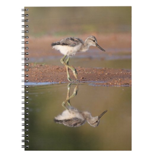Avocetchick Notitieboek (Voorkant)