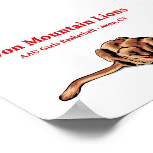 Avon Mountain Lions - Basketball Club Poster (Hoek)