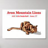 Avon Mountain Lions - Basketball Club Poster (Voorkant)