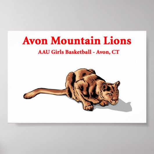 Avon Mountain Lions - Basketball Club Poster (Voorkant)