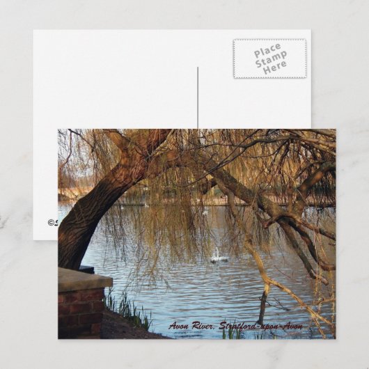 Avon River, Stratford-upon-Avon Briefkaart (Voorkant / Achterkant)